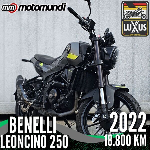 Benelli Leoncino 250 2022 L8280
