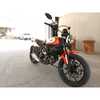 DUCATI Ducati Scrambler Icon 2021