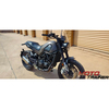 Benelli Benelli Leoncino 500 2020
